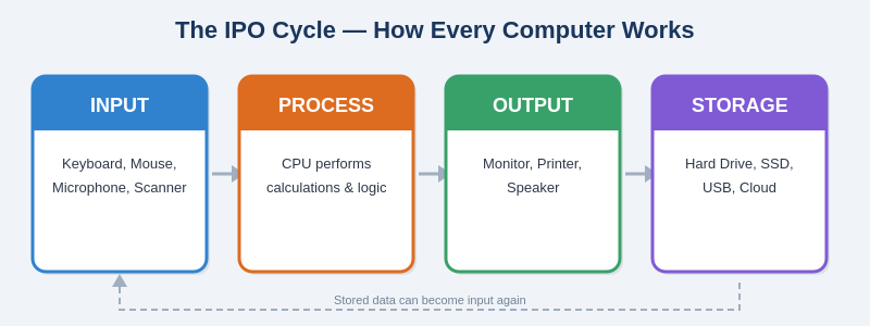 The IPO+S (Input → Process → Output → Storage) Cycle